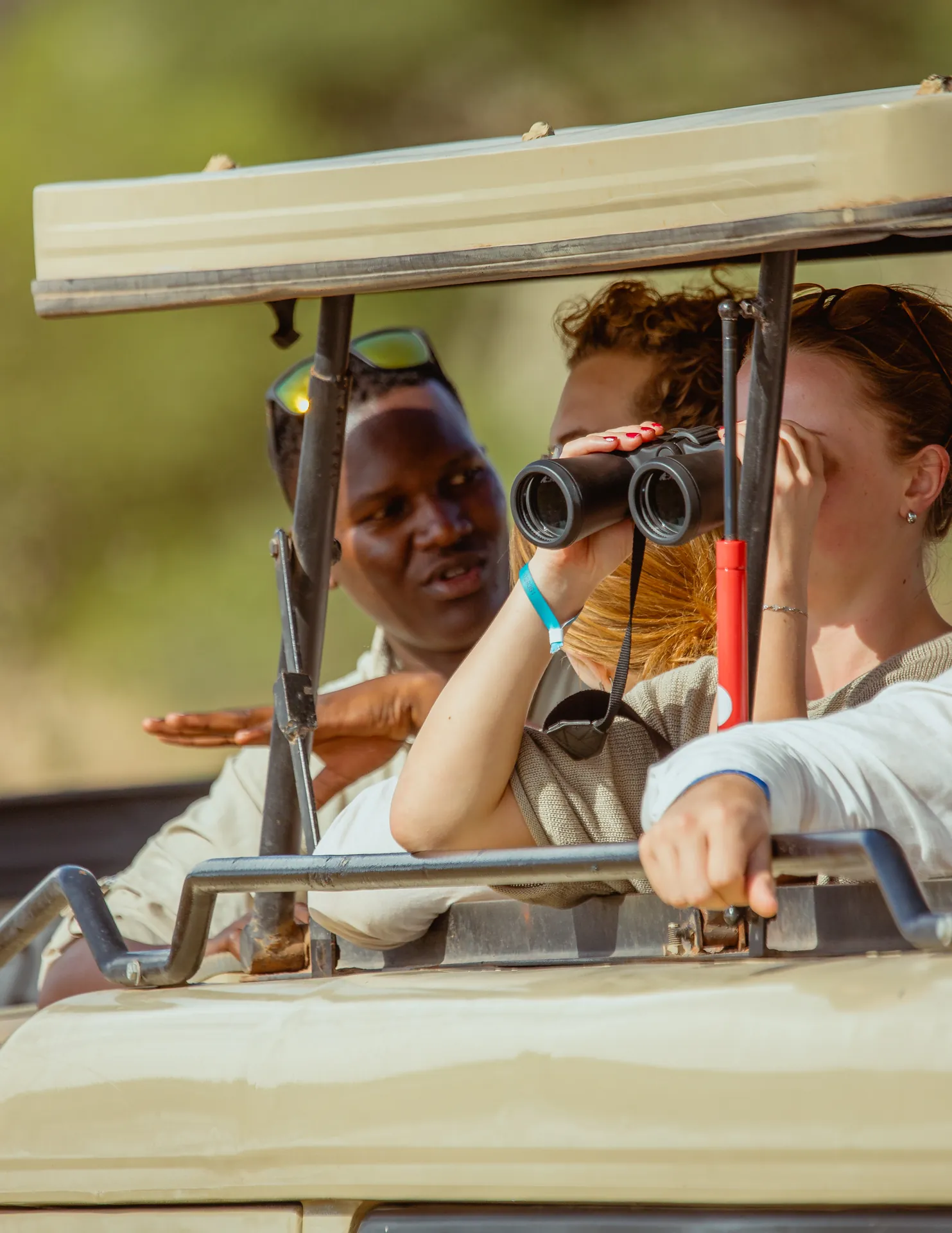Wildlife in an East African safari landscape